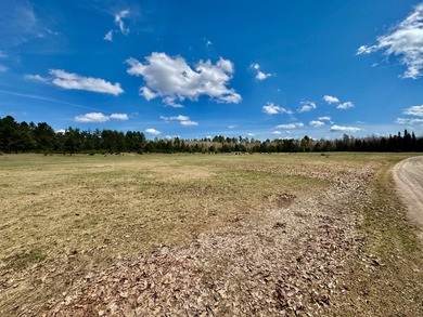 53 acres of mostly cleared land on pristine Croker Lake. The - photo 9