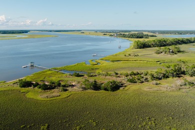 Here's your chance to own a private island! 0 Stono River - photo 1