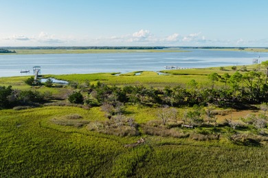 Here's your chance to own a private island! 0 Stono River - photo 2