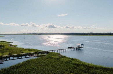 Here's your chance to own a private island! 0 Stono River - photo 3