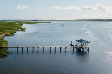 Here's your chance to own a private island! 0 Stono River - photo 4