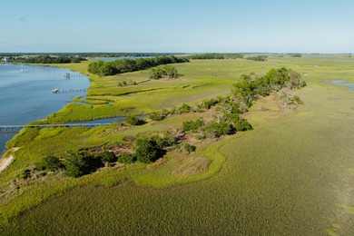 Here's your chance to own a private island! 0 Stono River - photo 5