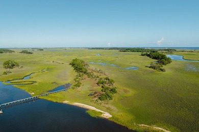 Here's your chance to own a private island! 0 Stono River - photo 6