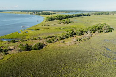 Here's your chance to own a private island! 0 Stono River - photo 8
