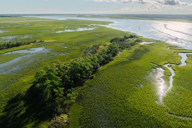 Here's your chance to own a private island! 0 Stono River - photo 10