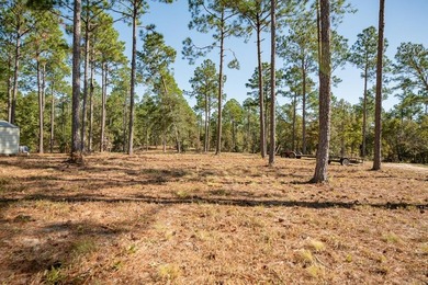 Lake Seminole Acreage For Sale in Donalsonville Georgia