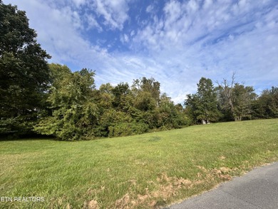Holston River - Hawkins County Lot For Sale in Surgoinsville Tennessee