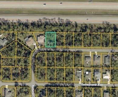 Nearly a quarter-acre homesite in one of North Port's most - photo 2
