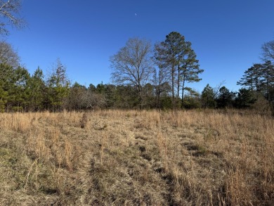 Lake Acreage For Sale in Chappells, South Carolina