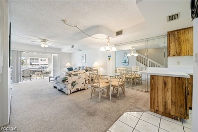 Check out this Gulf Access townhome offering sparkling water - photo 7