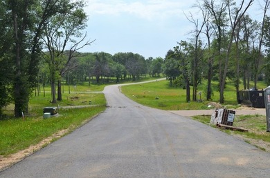 Beautiful sunsets and open water views from this corner lot - photo 8