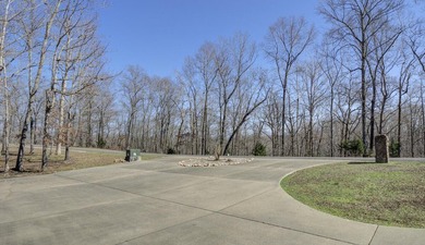 Experience lake living in this beautifully designed 4 bedroom, 3 - photo 3