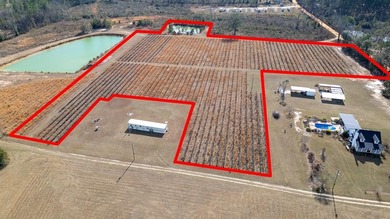 (private lake, pond, coastal) Lot For Sale in Baxley Georgia