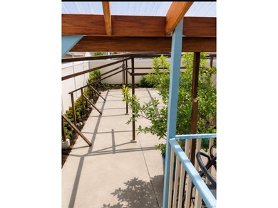 Beautiful Mint Condition Single Family House Located within half - photo 9