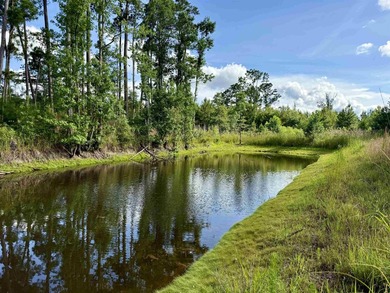 (private lake, pond, coastal) Acreage For Sale in Johnsonville South Carolina
