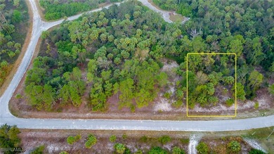 Build Your Florida Dream Home! Premium residential homesite in - photo 3