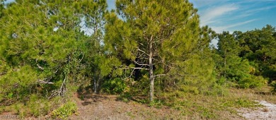 Build Your Florida Dream Home! Premium residential homesite in - photo 4