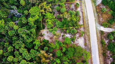 Build Your Florida Dream Home! Premium residential homesite in - photo 5