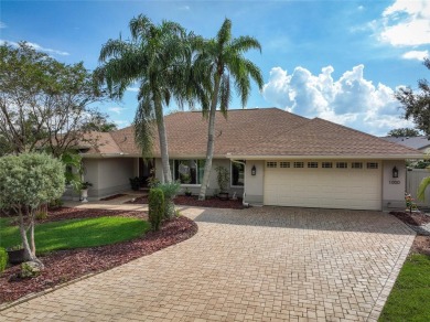 (private lake, pond, creek) Home For Sale in Safety Harbor Florida