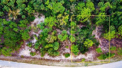 Build your Florida dream home just minutes from Southwest - photo 2