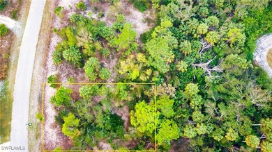 Build your Florida dream home just minutes from Southwest - photo 3