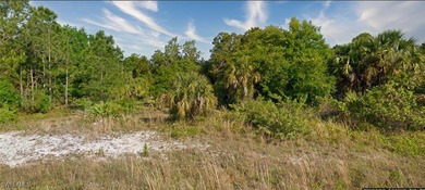 Build your Florida dream home just minutes from Southwest - photo 4