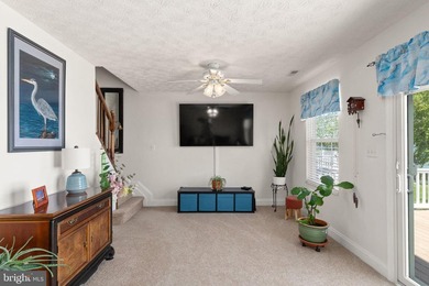Live the waterfront lifestyle you've been dreaming of in this - photo 46