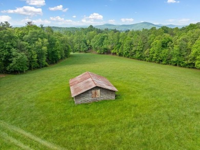Lake Home For Sale in Blairsville, Georgia