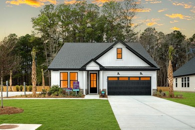 (private lake, pond, coastal) Home For Sale in Moncks Corner South Carolina