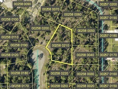 Lehigh Acres Area Lot For Sale in Lehigh Acres Florida