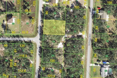Peace River Lot For Sale in Punta Gorda Florida