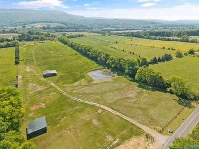 (private lake, pond, coastal) Acreage For Sale in New Market Alabama