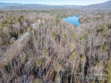 Build Your Dream Home in The Arbor at Lake James! Discover the - photo 8
