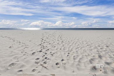 Are you ready for the views and enjoyment that come with a beach - photo 11