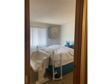 Updated 3rd-floor condo in Osage Vistas at Lake Ozark offering a - photo 17