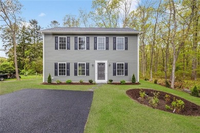 Welcome to this stunning newly constructed Colonial, where - photo 1