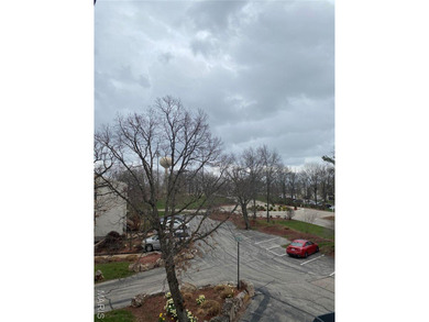 Updated 3rd-floor condo in Osage Vistas at Lake Ozark offering a - photo 25