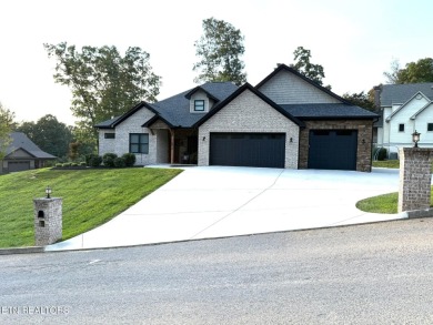 Lake Home For Sale in Andersonville, Tennessee