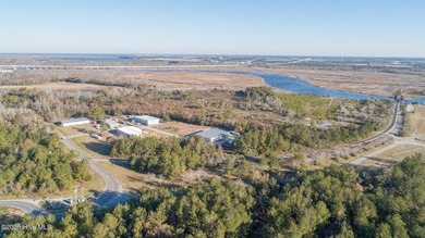 59 acres total (2 adjacent parcels, Brunswick County 03000006 - photo 3
