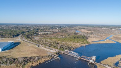 59 acres total (2 adjacent parcels, Brunswick County 03000006 - photo 5