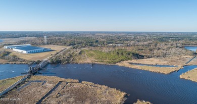 59 acres total (2 adjacent parcels, Brunswick County 03000006 - photo 6