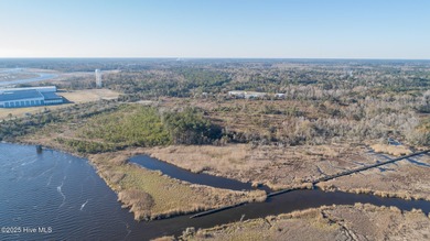 59 acres total (2 adjacent parcels, Brunswick County 03000006 - photo 7