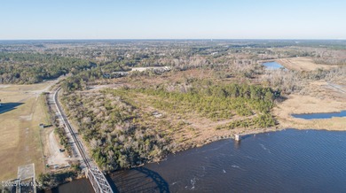 59 acres total (2 adjacent parcels, Brunswick County 03000006 - photo 8