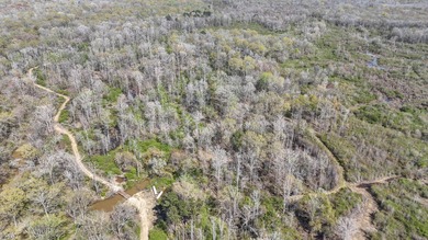 Welcome to an extraordinary 1,297+/- acre retreat in Steens, MS - photo 12