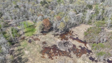 Welcome to an extraordinary 1,297+/- acre retreat in Steens, MS - photo 16