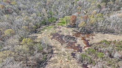 Welcome to an extraordinary 1,297+/- acre retreat in Steens, MS - photo 17