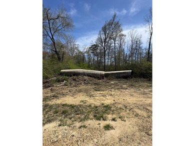 Welcome to an extraordinary 1,297+/- acre retreat in Steens, MS - photo 20