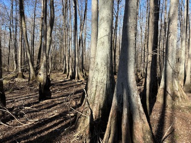 Welcome to an extraordinary 1,297+/- acre retreat in Steens, MS - photo 22