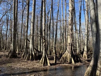 Welcome to an extraordinary 1,297+/- acre retreat in Steens, MS - photo 23