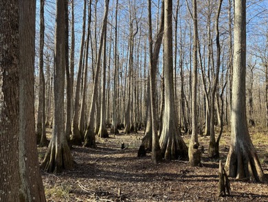Welcome to an extraordinary 1,297+/- acre retreat in Steens, MS - photo 24